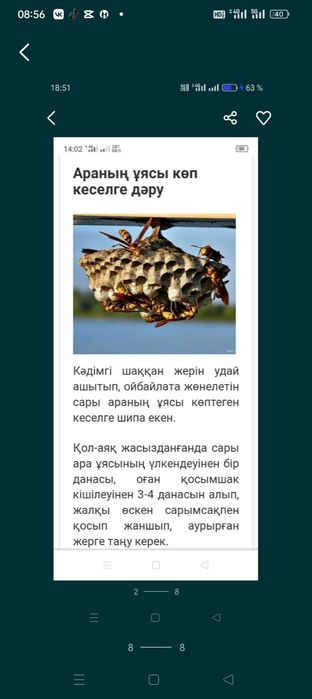 Осиное гнезд осиное