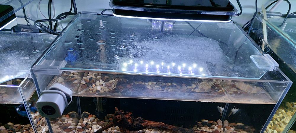 Продаются аквариумы.