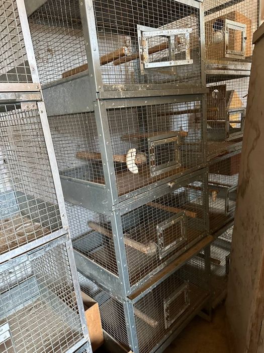 клетки 4х этажные, и 5 этажные для папугаев.