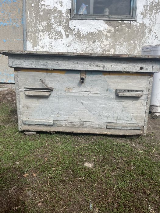Продам Ули для пчел