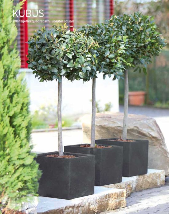 Jardiniere Geli Kubus/Geli Cube 50x50x40 pentru gradina