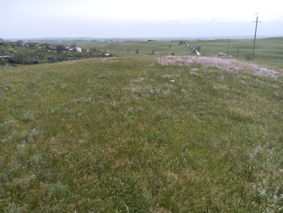 Продам участок в поселке Турар