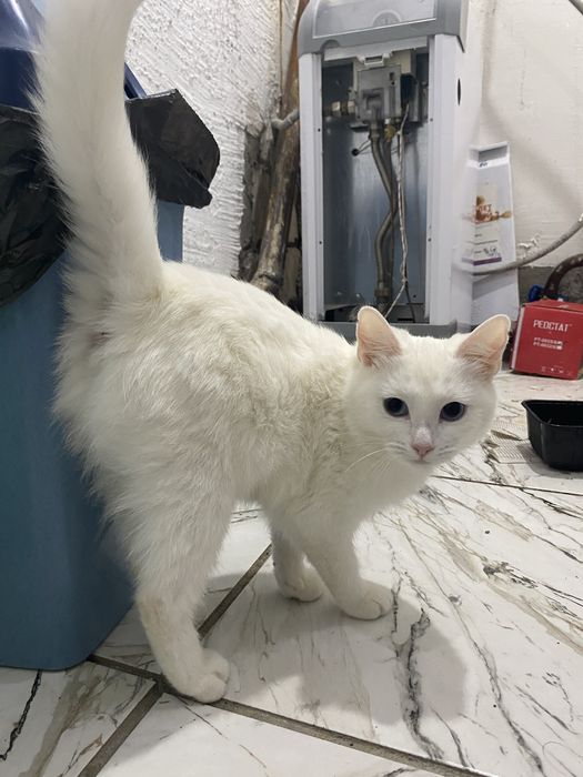 Бесплатно отвезу до адреса