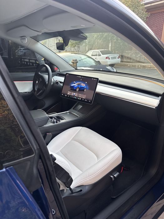 Tesla Model Y Performance 2022