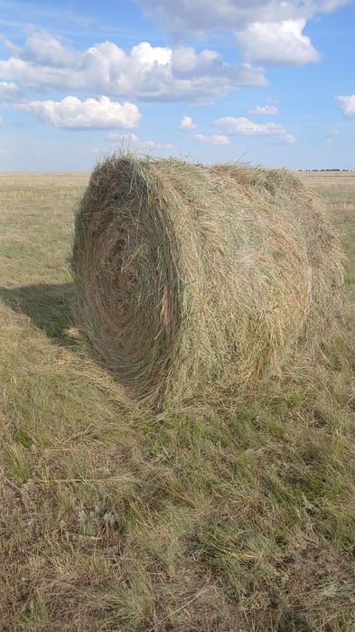 В продаже сено .