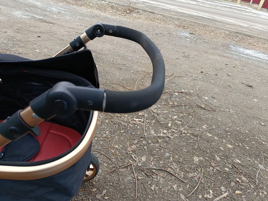 Коляска 2 в 1 Amilie