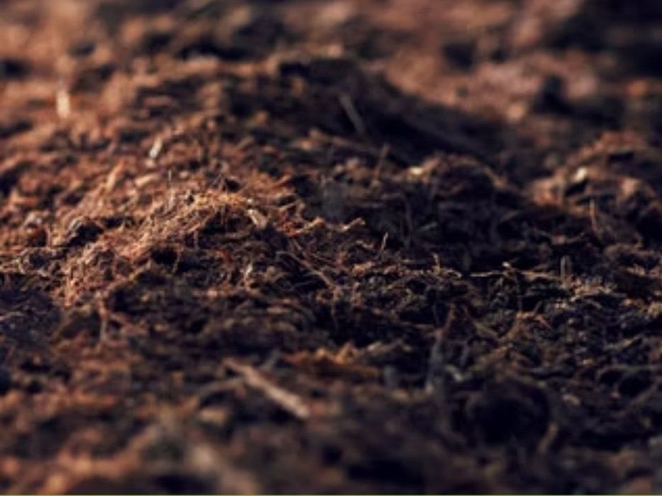 Универсальная почвосмесь > для саженцев, парников, теплиц, цветов и др