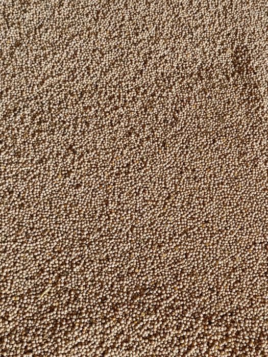 soia boabe 1.70 Soia boabe