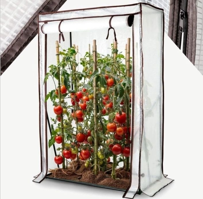 Seră de roșii 100 x 50 x 150 cm