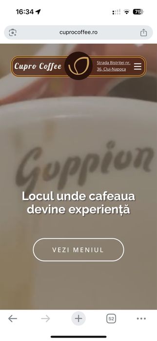 Realizam website-uri pentru afacerea ta