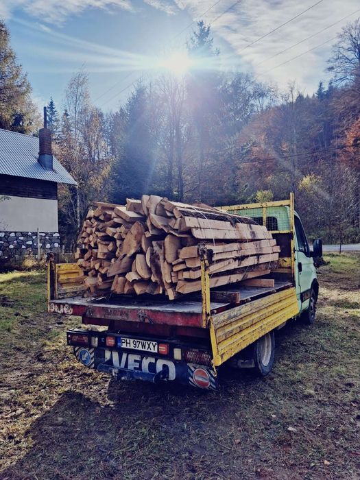 Lemne foc laturoaie Stejar uscate