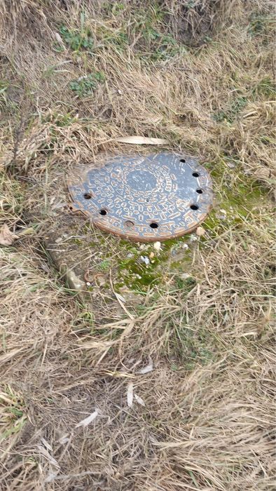 Casa si teren in Topa nr 21 jud Cluj