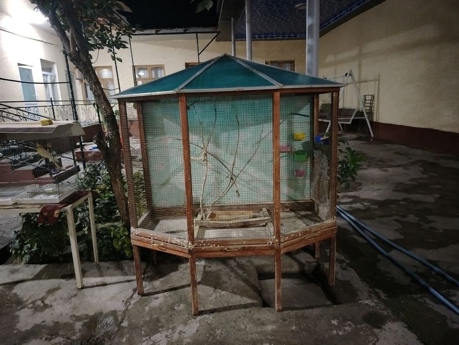 Котта кафас куш учун