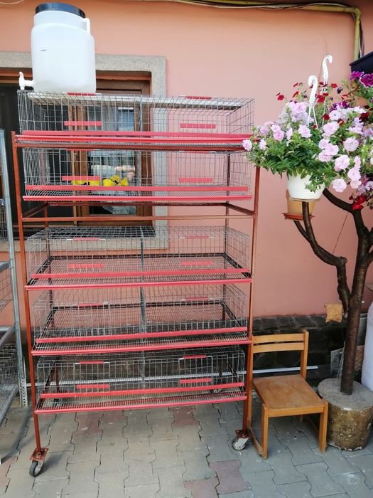 Rastele ptr creșterea prepelitelor complet  utilate