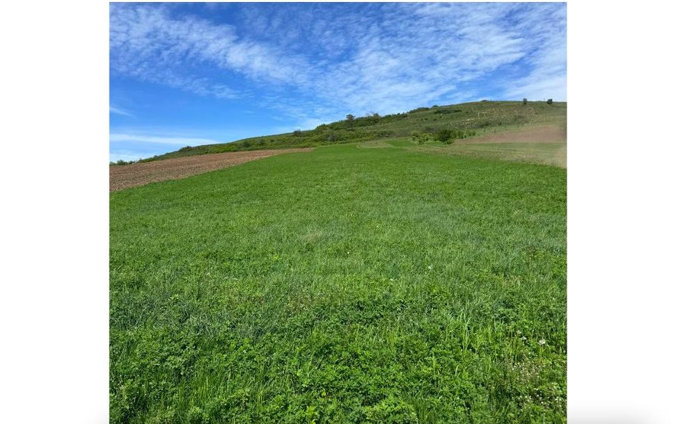 Vand Teren Extravilan, 6200mp, Zona Gusterita Sibiu