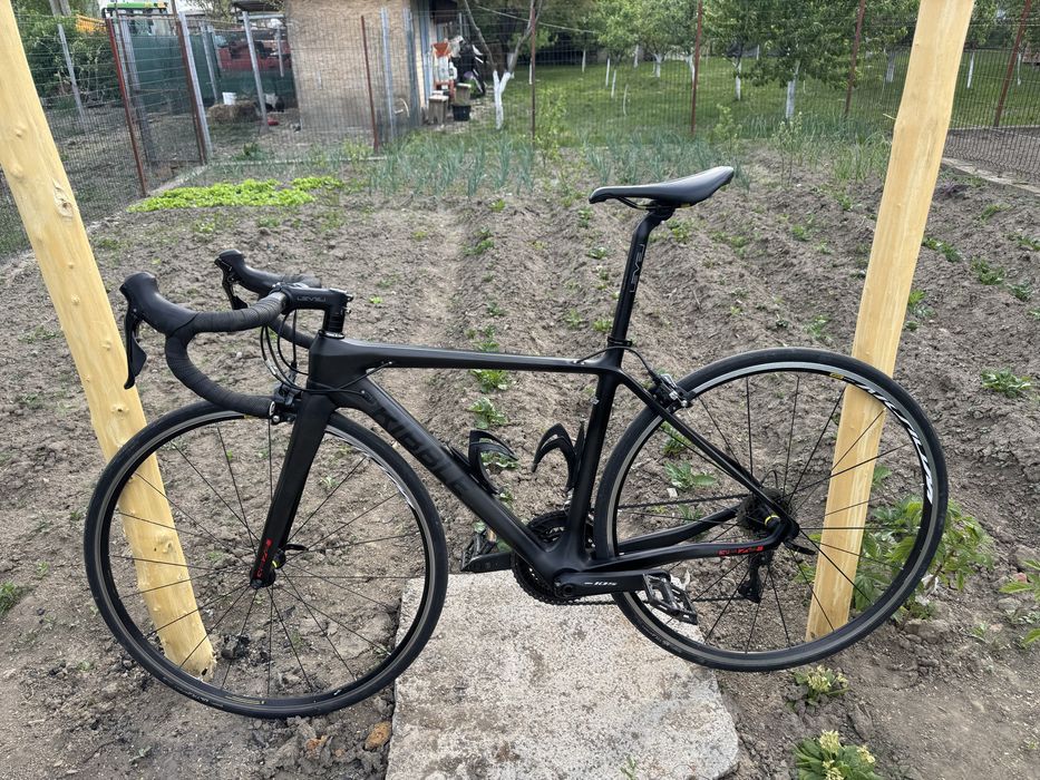 Cursiera carbon Ribble