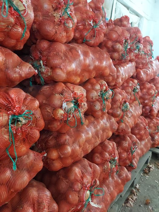 Продаём овощи мешками