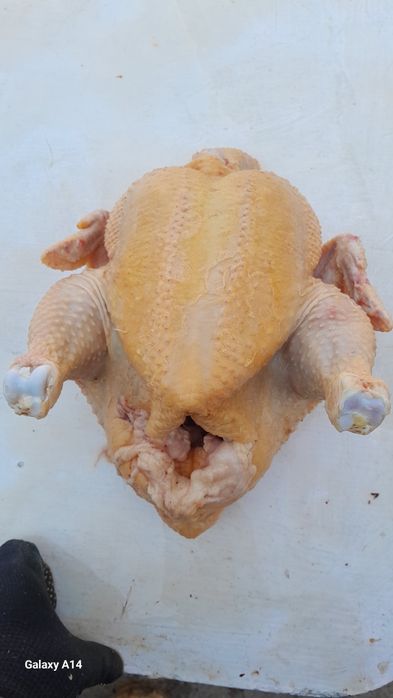 Продам мясо домашнего бройлера