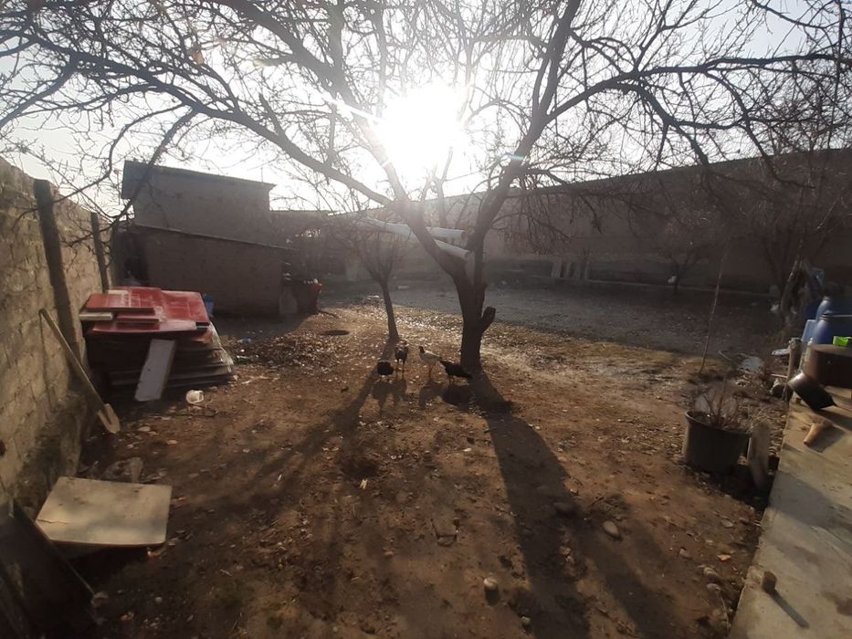 Uchaska sotiladi Nazarbek tekistilda 6sotx