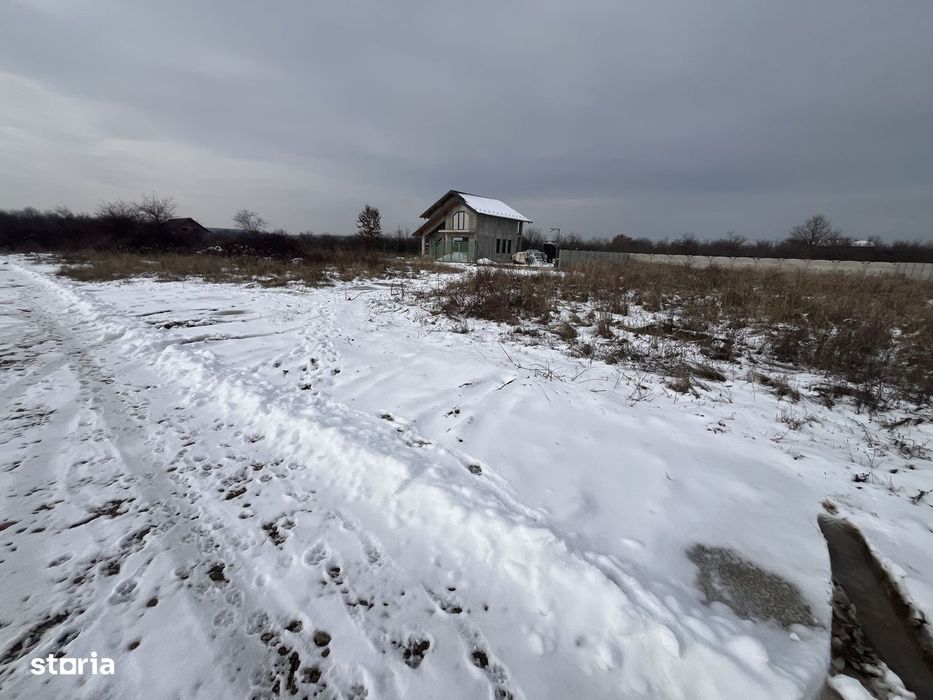 Teren Smeura -Platou