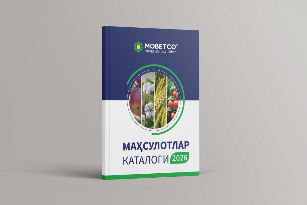 Полиграфия Типография Баннер Пленка Холст Стенд Вывеска Визитки Буклет