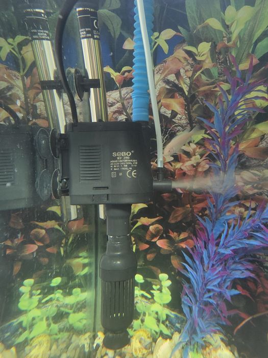 Yangi Akvarium sotiladi !