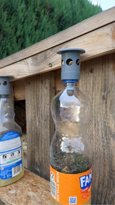 Capcana pentru viespi