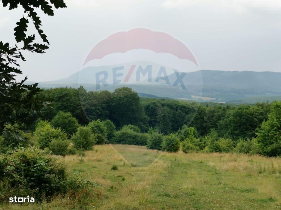 Teren ideal pentru glamping în Vlădeni, aproape de Brașov