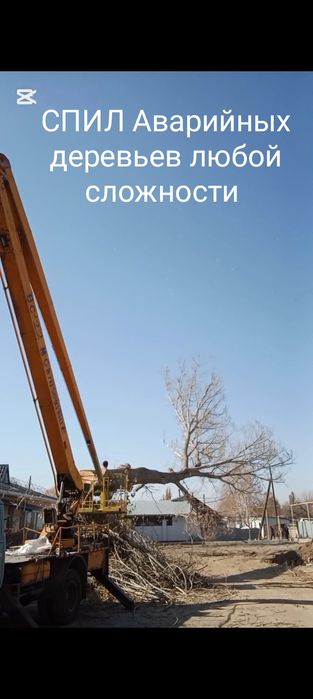 СПИЛ Аварийных деревьев!