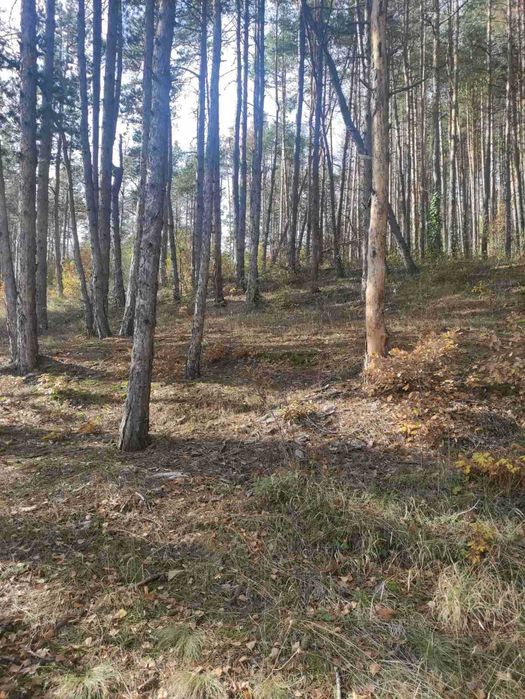 Продава се Земеделски имот в Велинград -  кв.м за 34560 €/дка - Снимка #4