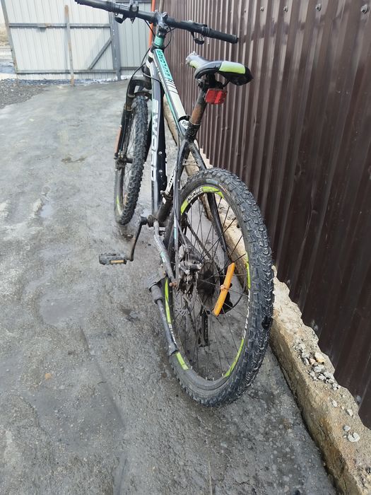 Велик или айфон 11