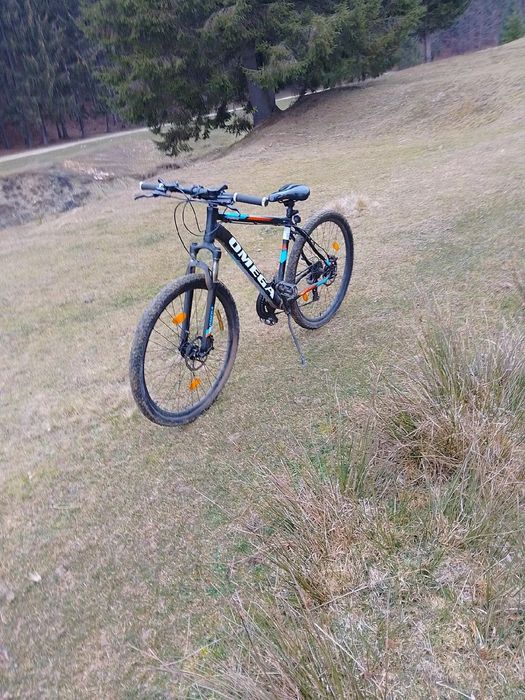 Bicicleta omega  buna