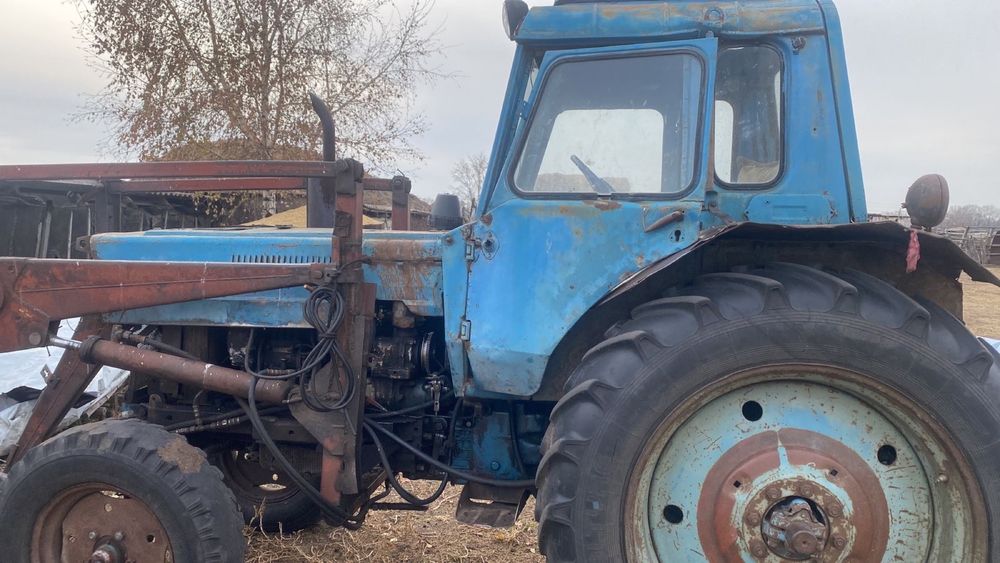 Продам или обмен на скот