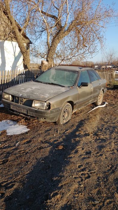 налок салынган тех жок