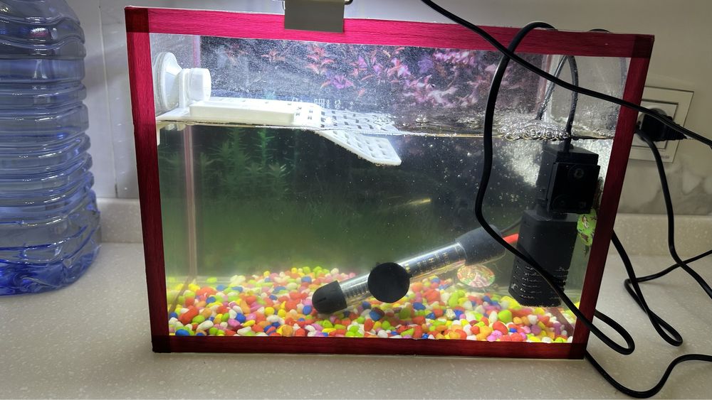 Шерепаха аквариум