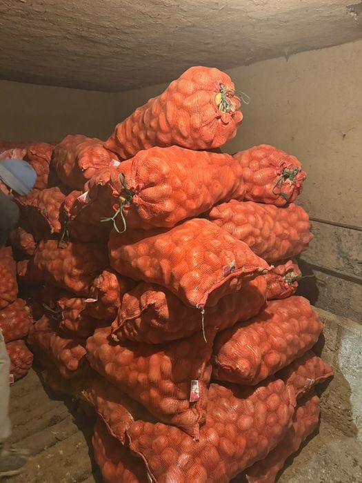 Продам картофель