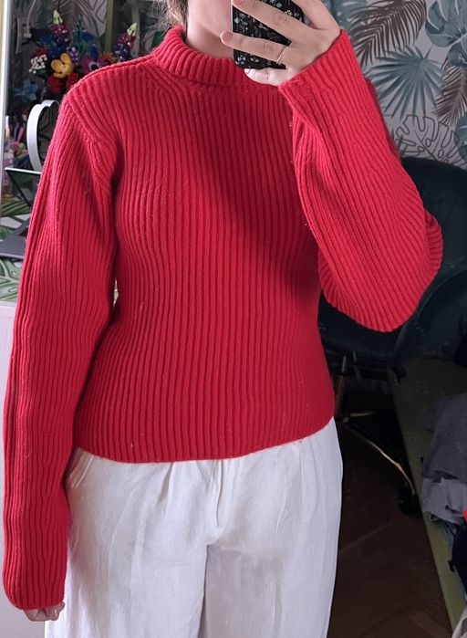 Plover gros de iarna