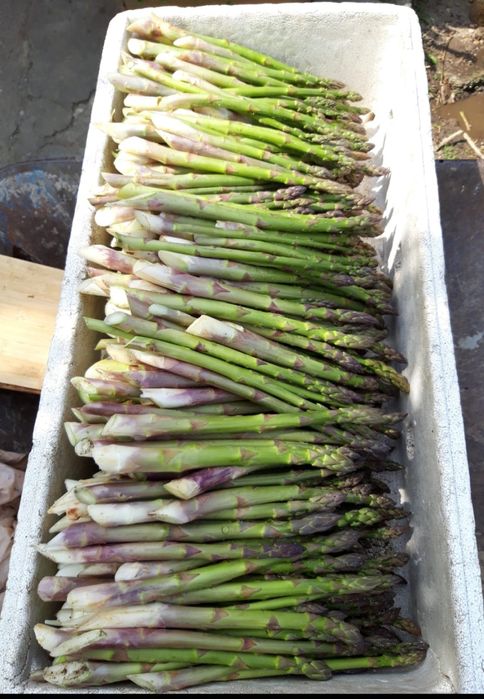 Vind coroane sparanghel