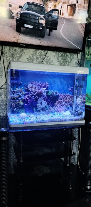 Аквариум аквариум