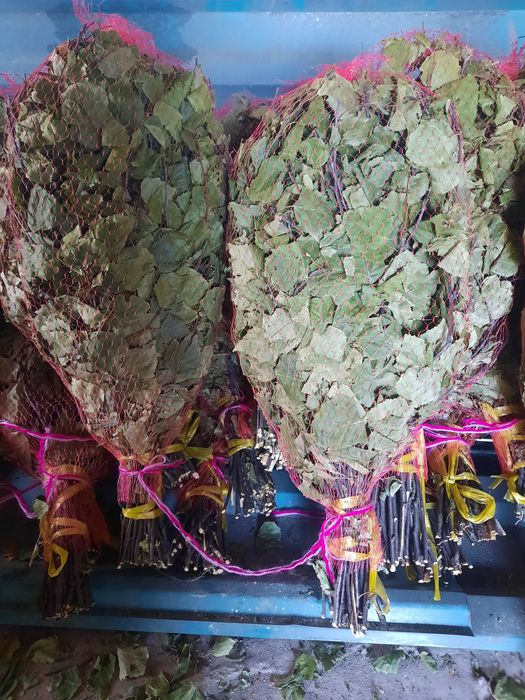 Березовые банные веники