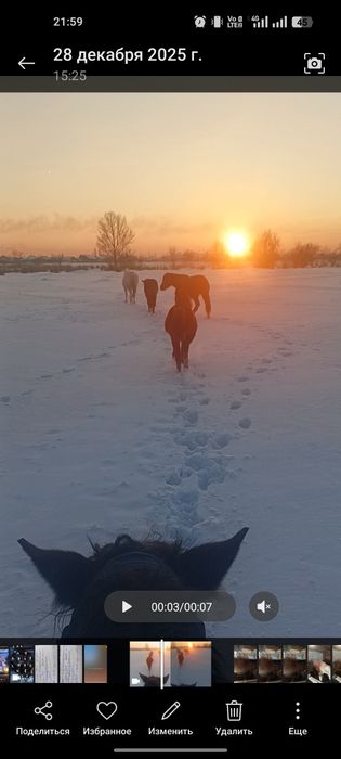 Лошадей 4 голов.