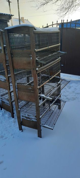 Клетки для перепелов