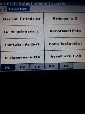 Set Korg Pa 300 - 2026