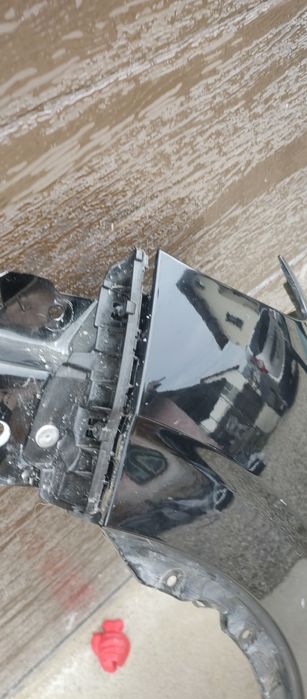 Aripa stângă fata kadjar