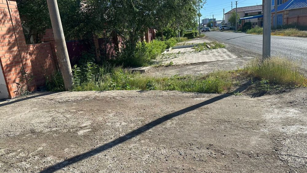 Покос травы. Шөп шабу