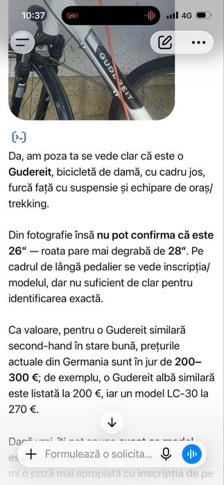 Bicicleta Gudereit