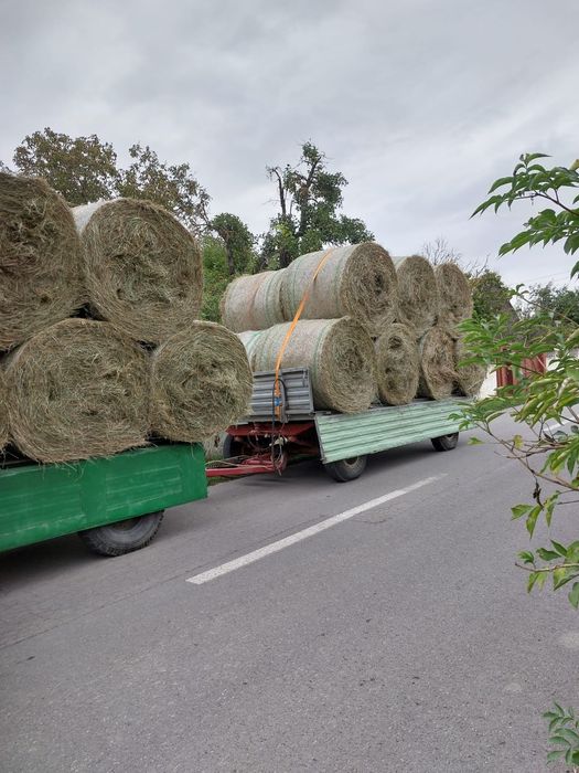 Vând baloți rotunzi lucernă și fân