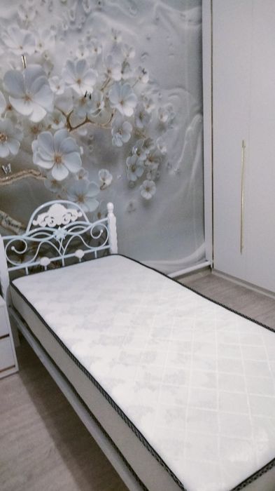 Кровати железные.