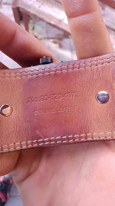 Часовник употребяван