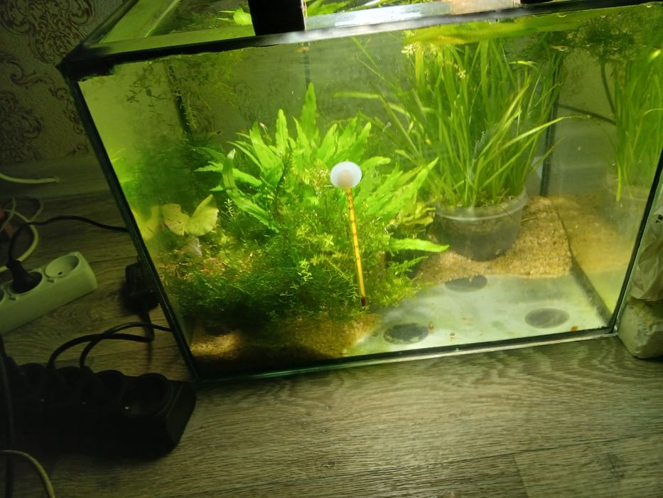 Аквариум в комплекте с рыбками